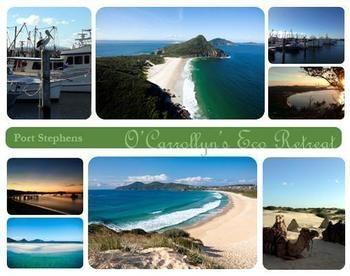 The Oasis At One Mile Beach Appartamento Anna Bay Esterno foto